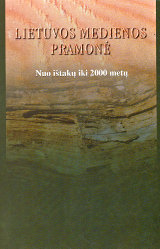 knygos „Lietuvos%20medienos%20pramon%C4%97%3A%20Nuo%20i%C5%A1tak%C5%B3%20iki%202000%20m.“ viršelis