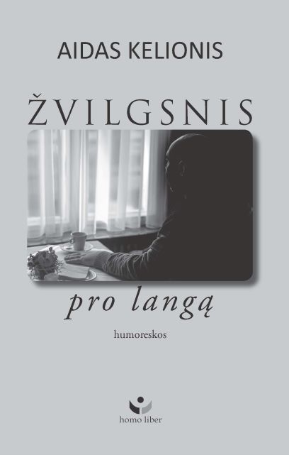 knygos Žvilgsnis pro langą viršelis